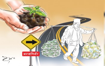 बाटो बिराएको कृषि क्षेत्र